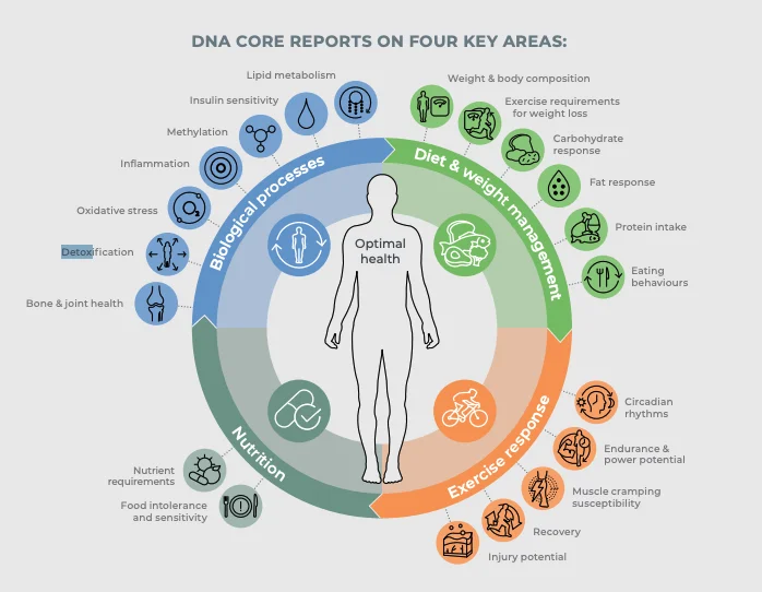 Sample report page 1